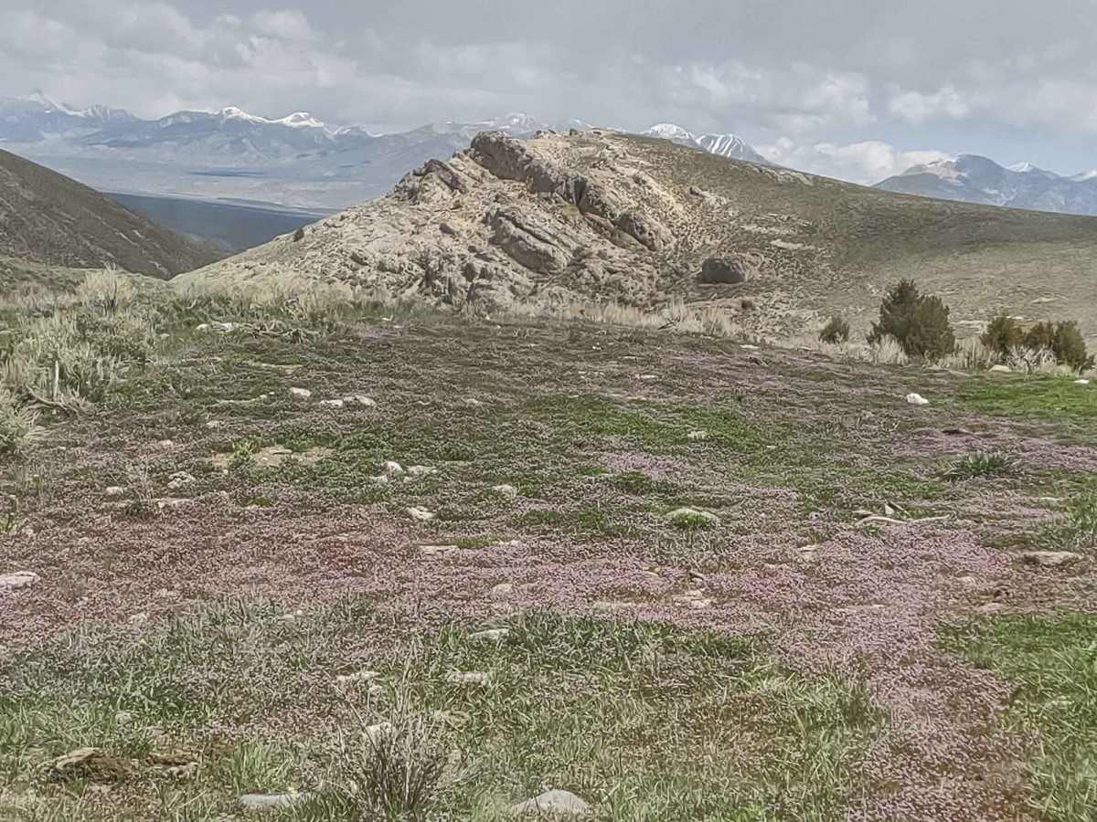 Arco Pass to Iron Creek photo 3