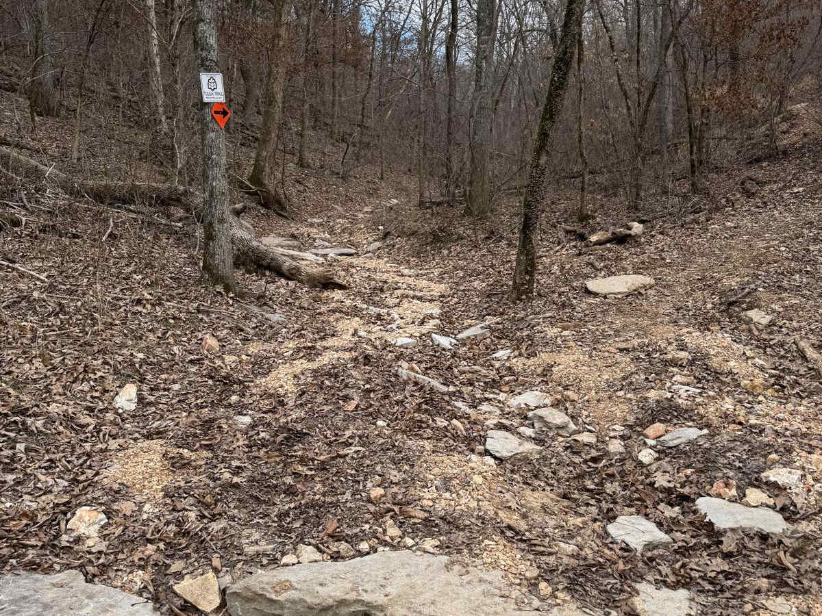 Chicken Trail 439 trail photo