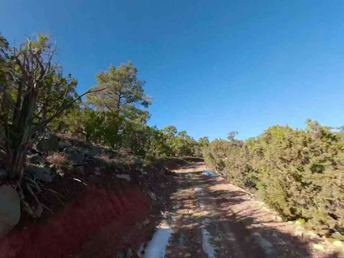 Black Rock Mountain Road-BLM1022 photo 5