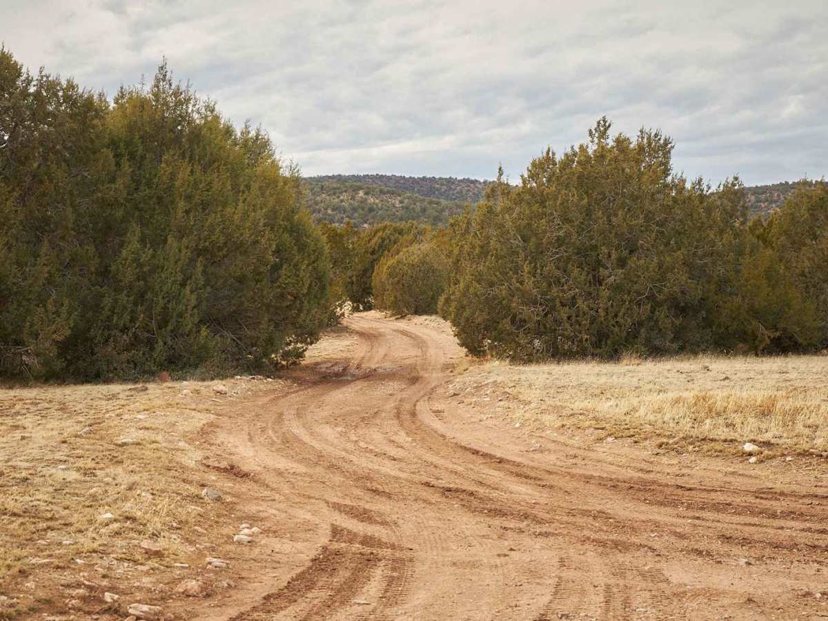 Tanks Scenic Bypass trail photo