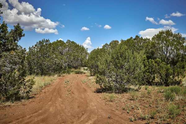 Prairie Train Trail