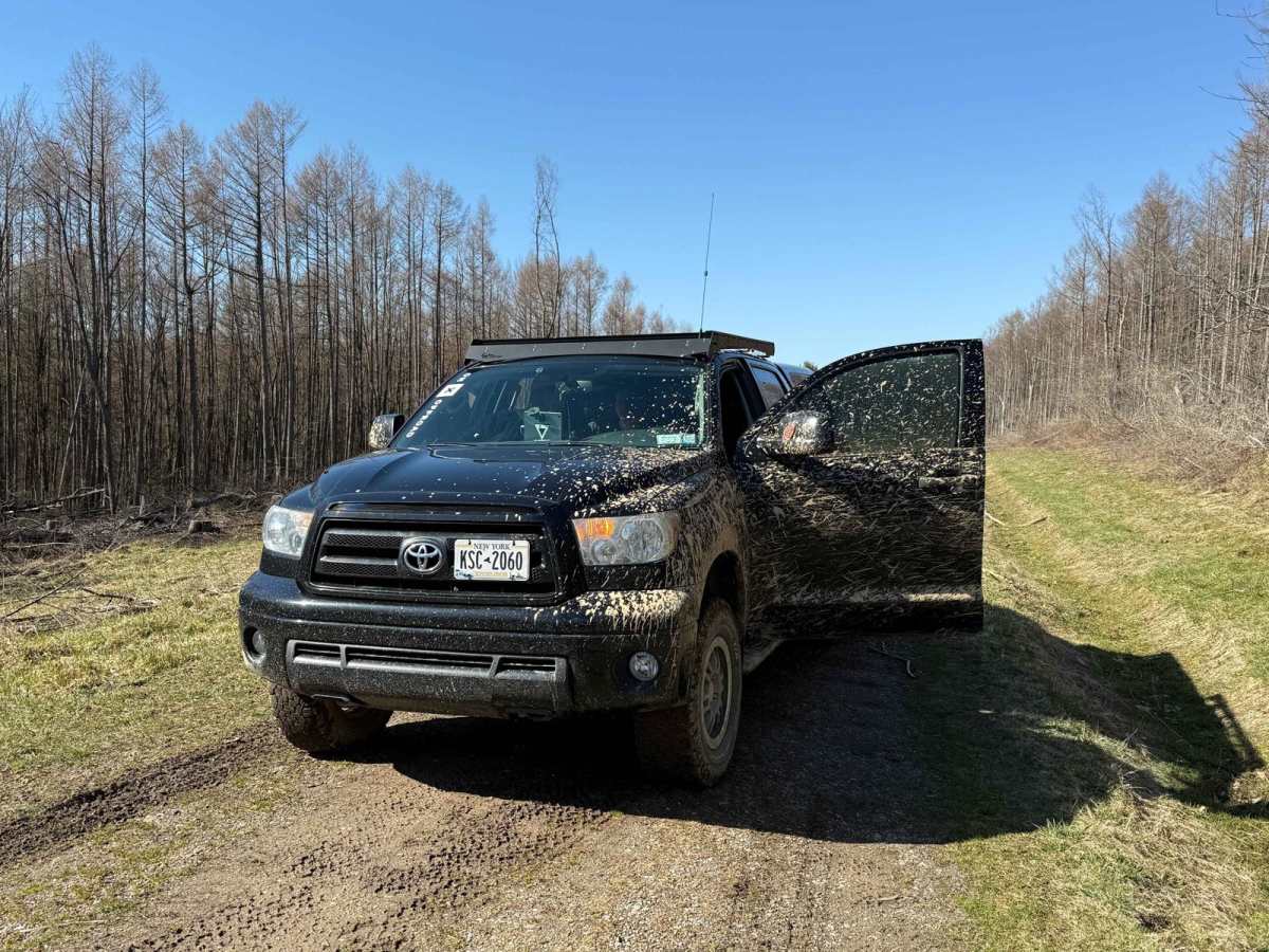 Plumbottom Reddy Forest Road photo 4