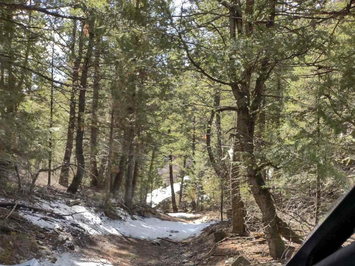 Wood Canyon - FS 561 photo 6