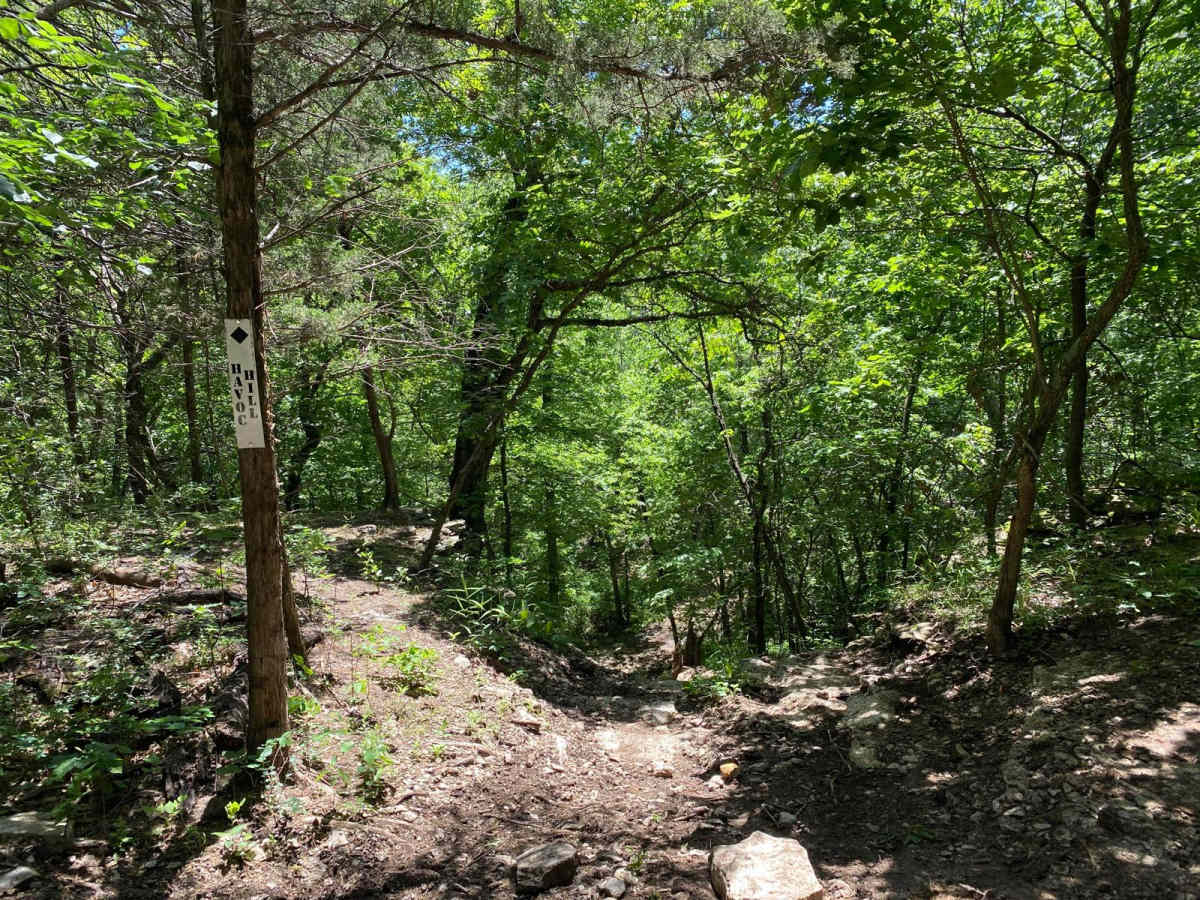 Havoc Hill trail photo
