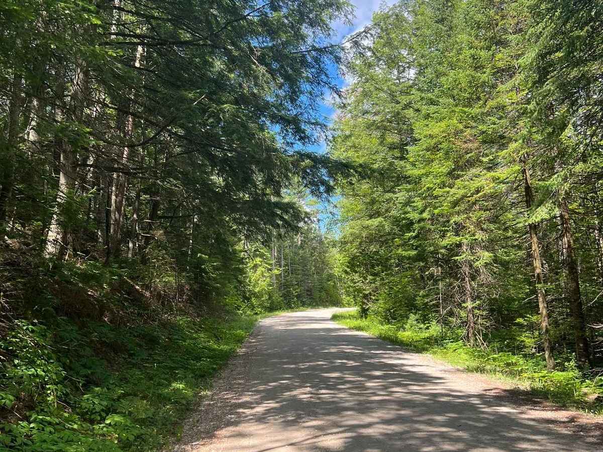 Castle Rock to Round Lake trail photo