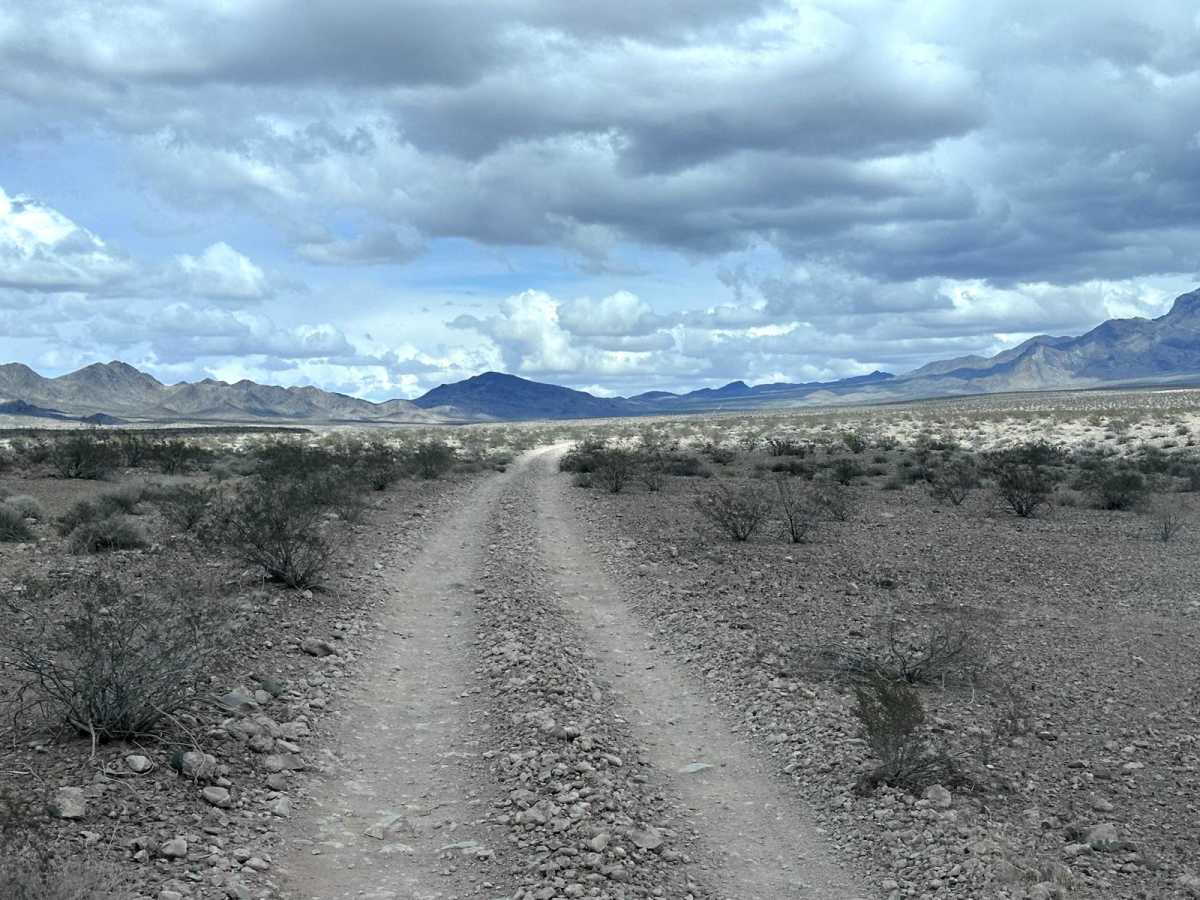 NPS 113 photo 6