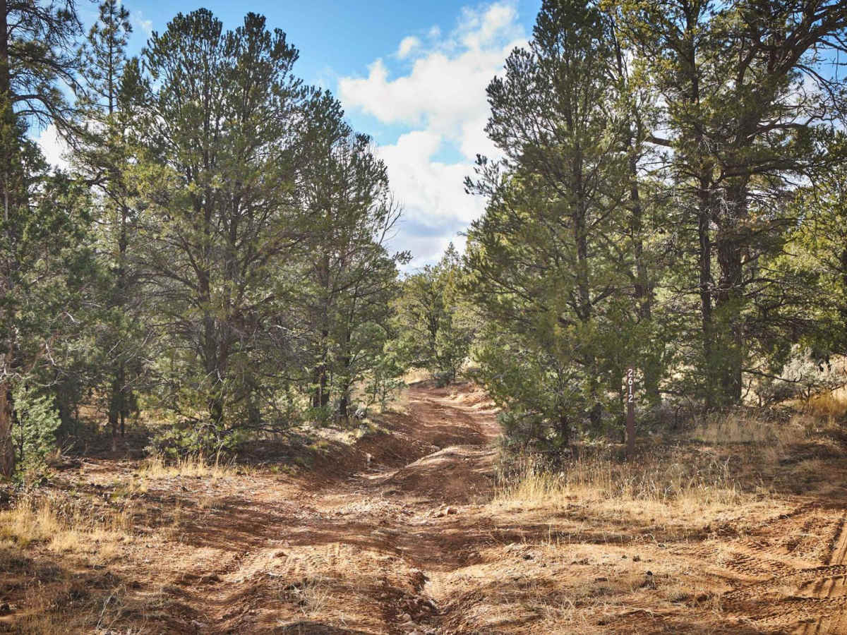 FR 2612 trail photo