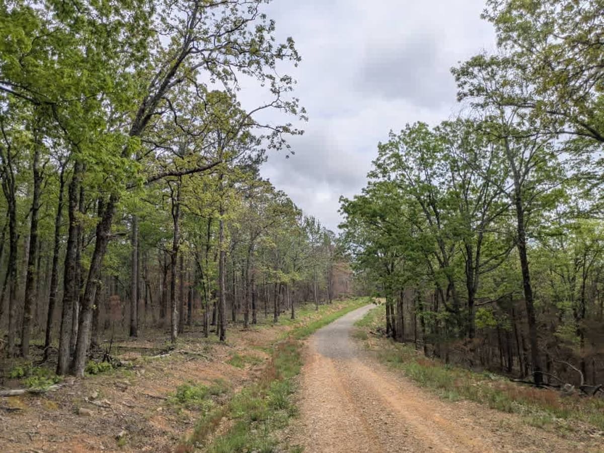 Valentine Ridge photo 4