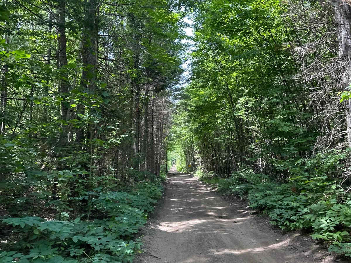 CR 446 to CR 415 photo 3