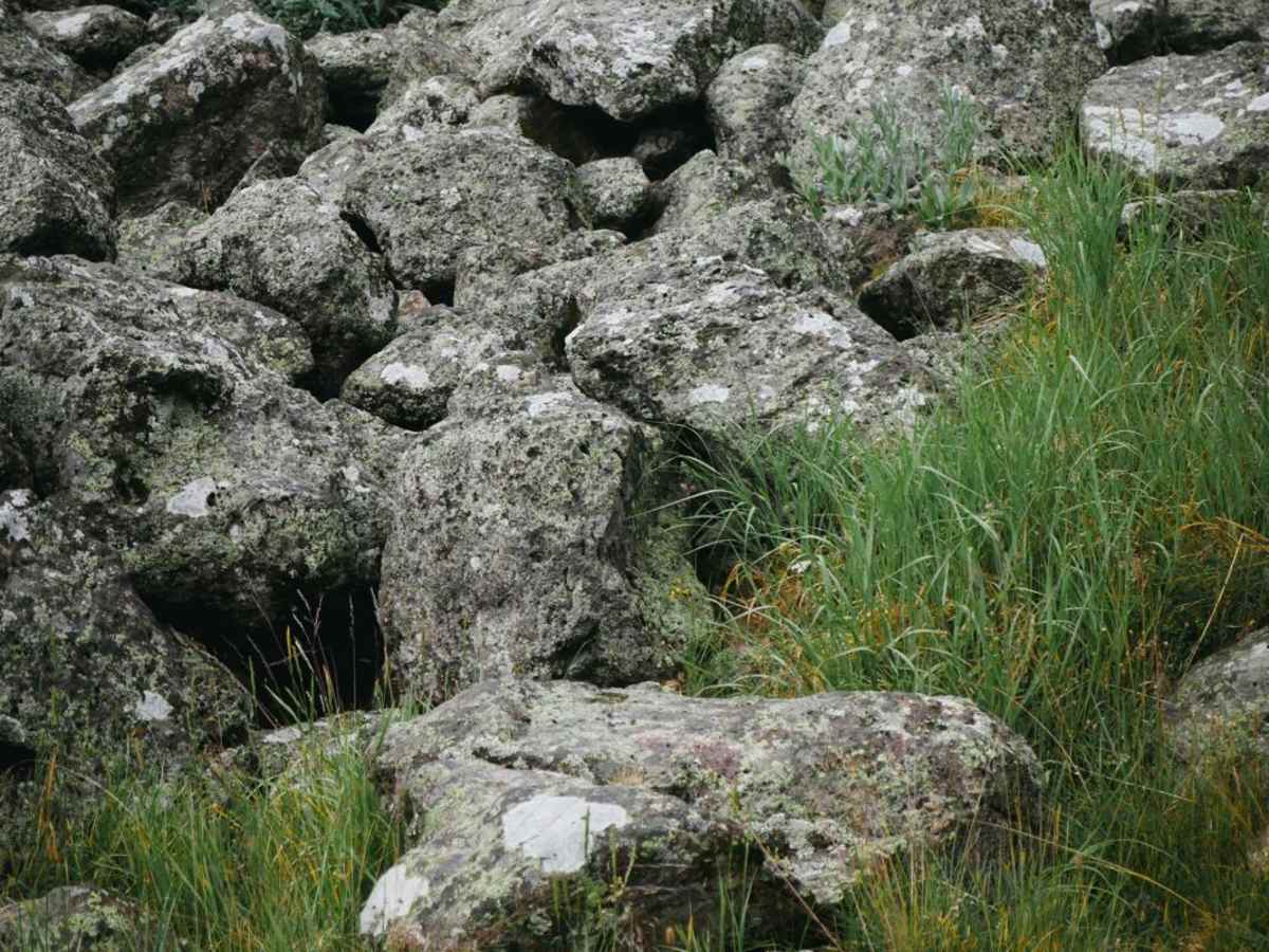 Willow Mountain Trail photo 3