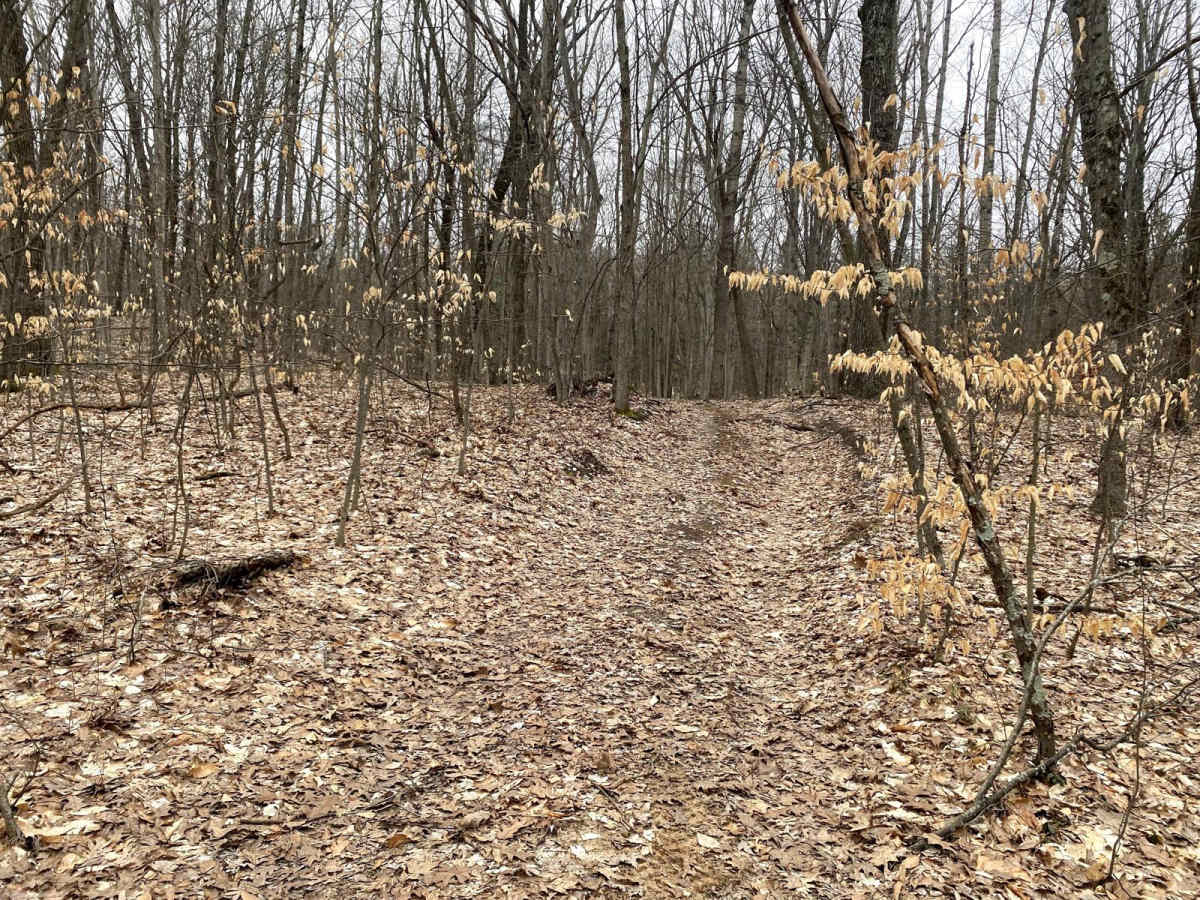 Tight Quarters Trail- FS 5067 photo 3