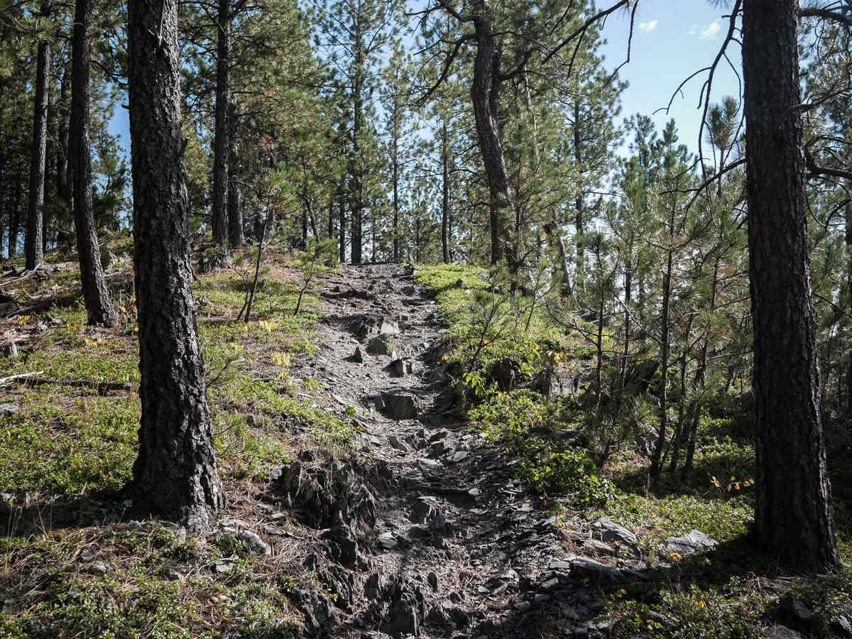 Merritt 6242 trail photo