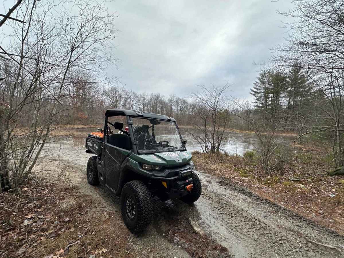 Locust Gap 23 photo 4