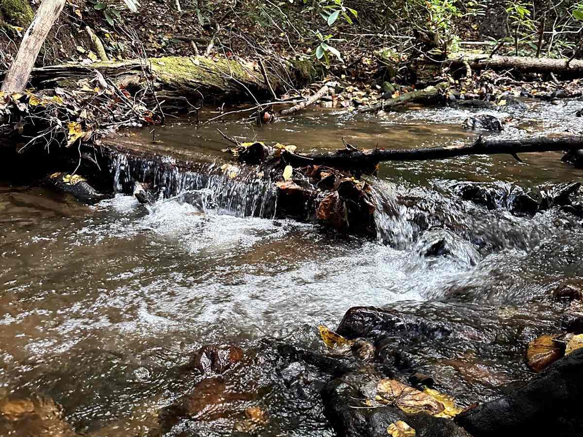 Little Rock Creek - FS 249 photo 3