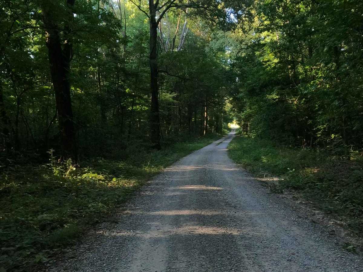 Stone Face Lane - FS 1453 photo 6