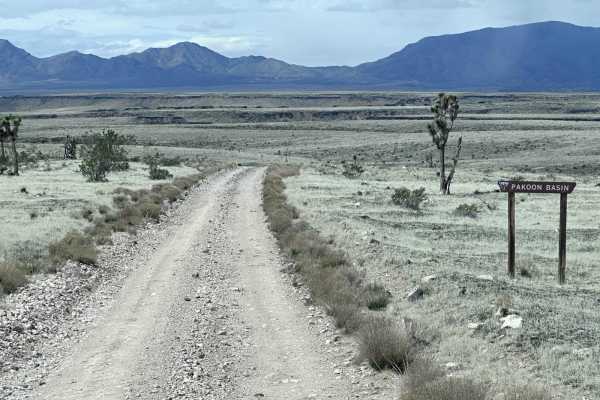 Pakoon Basin - BLM 1007