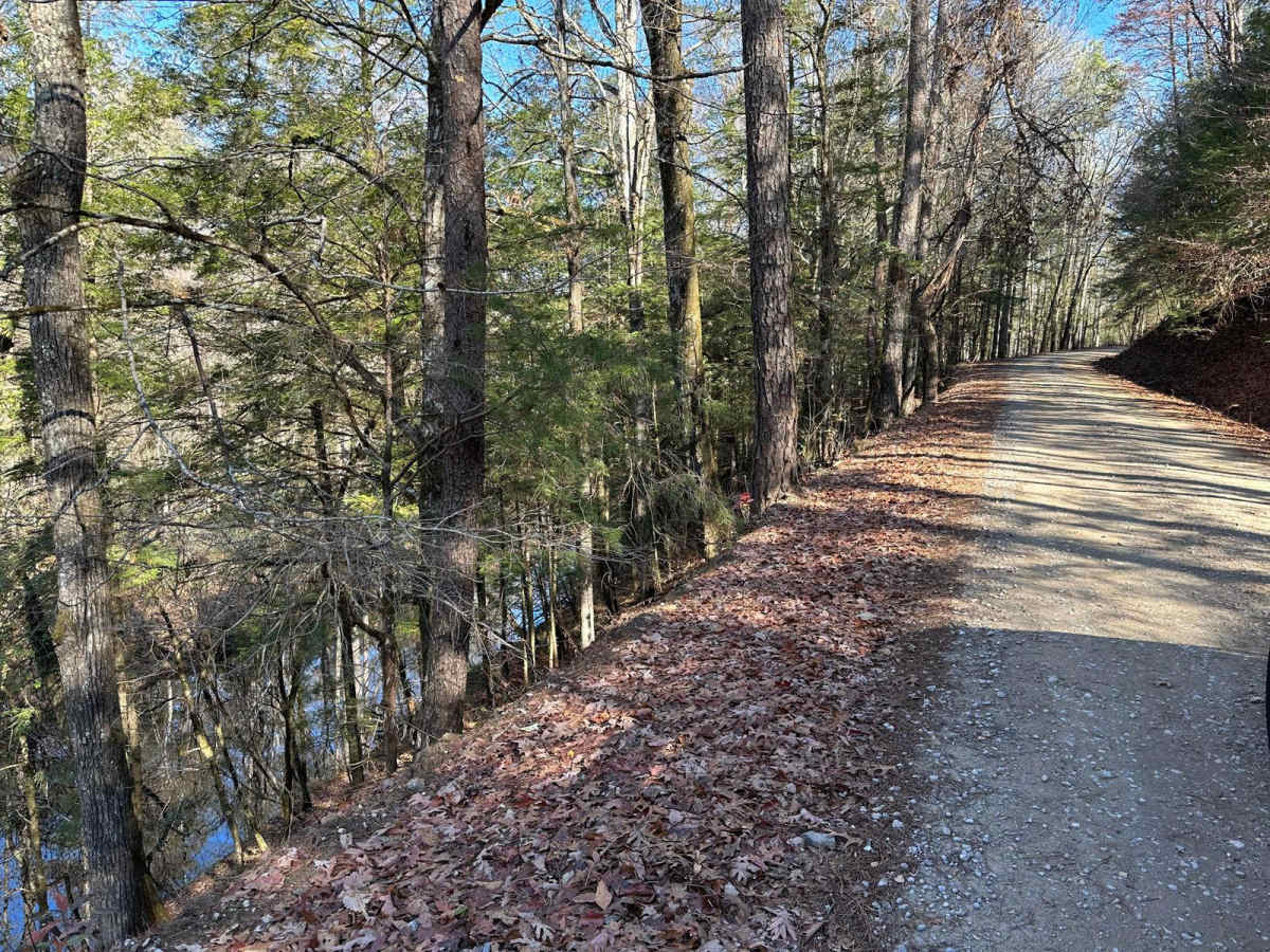 Mount Olive photo 3