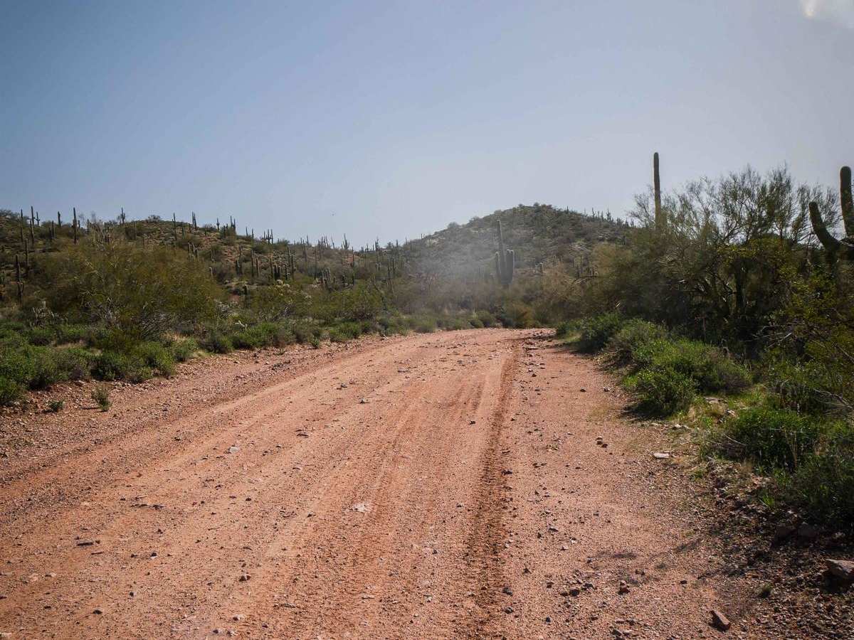 North Vulture Peak Road photo 5