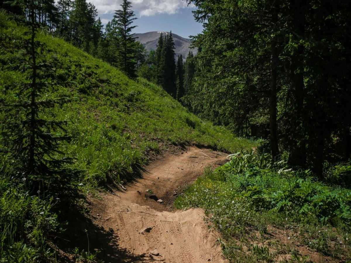 Walrod Gulch Trail photo 4