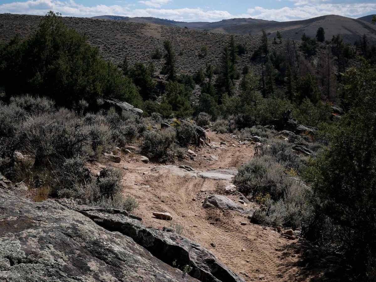 Outback photo 4