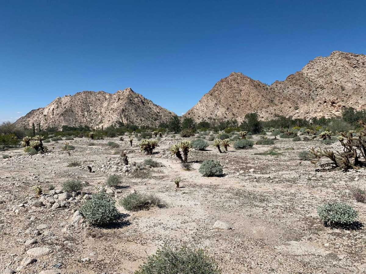 Camino del Diablo Oeste trail photo