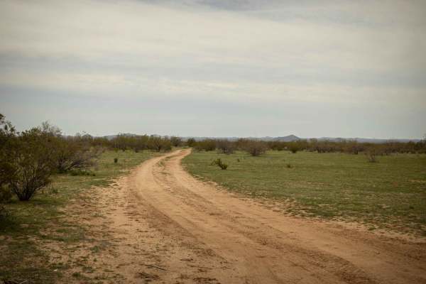 Southern Stroll