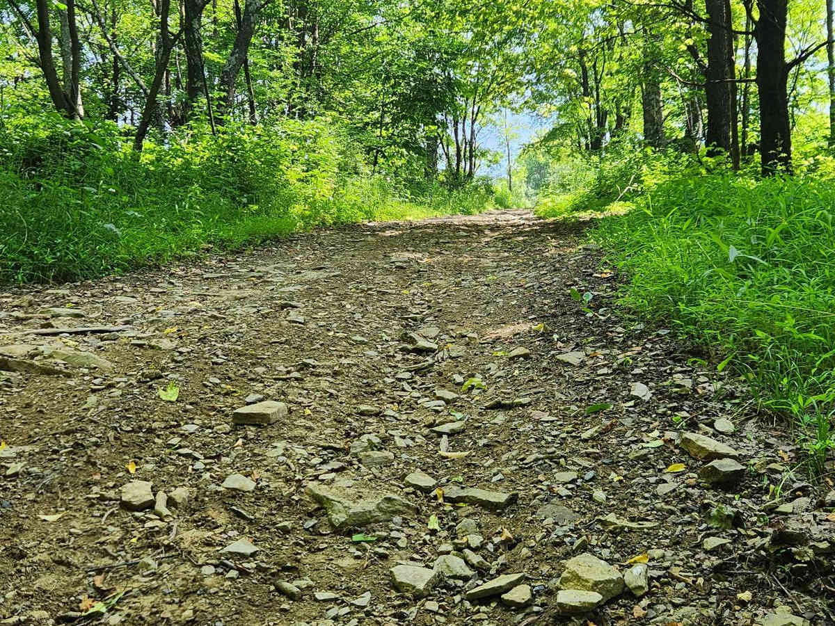 WR Road - Rock Run Recreation Area photo 4