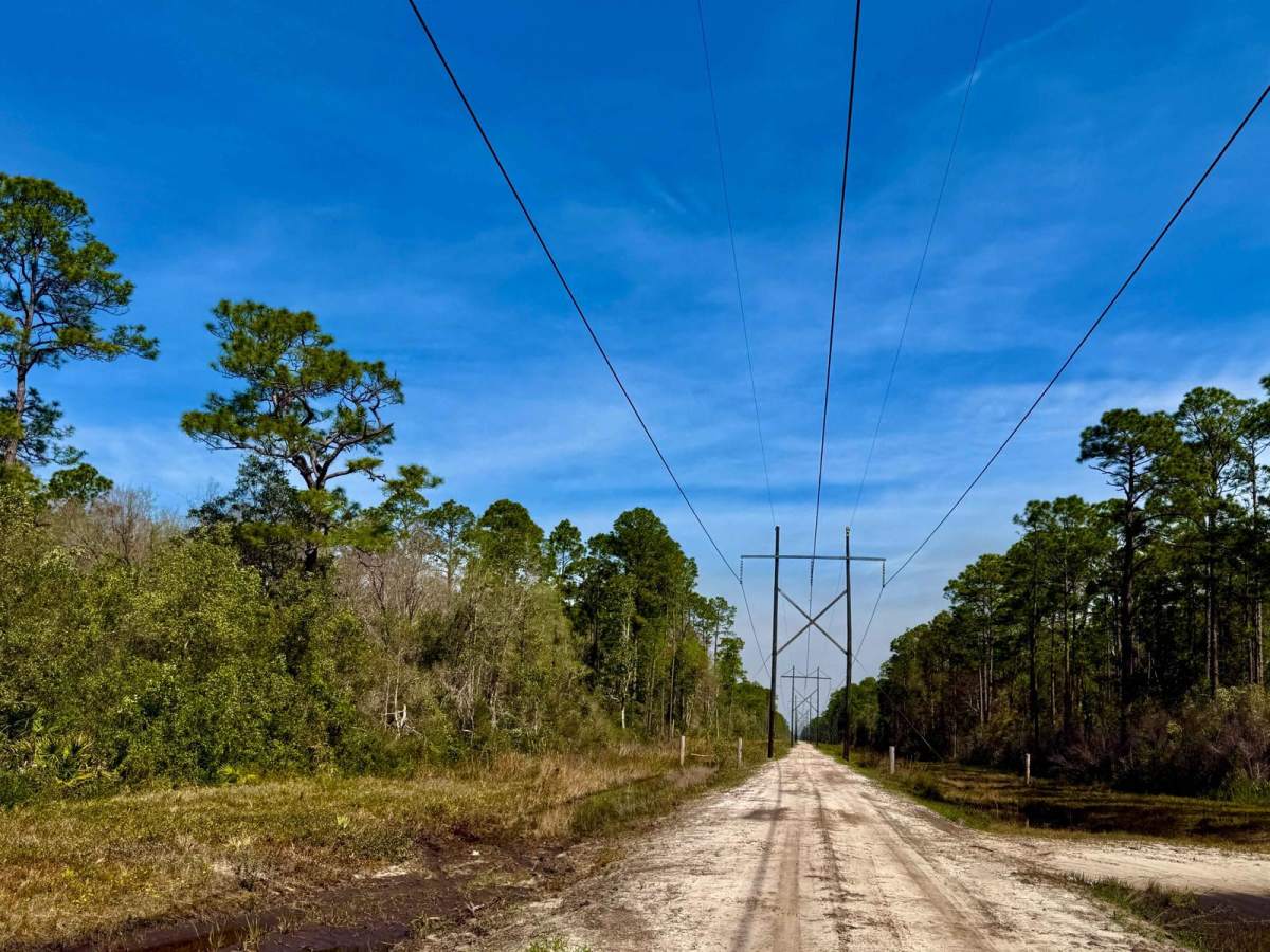 FS 394 trail photo