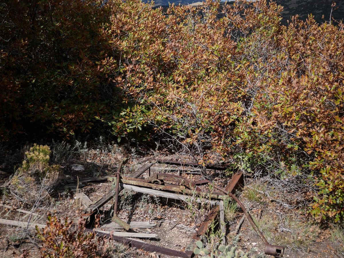 6041 ATV photo 4
