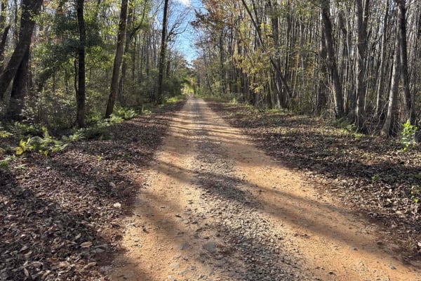 Chickasawhatchee Road