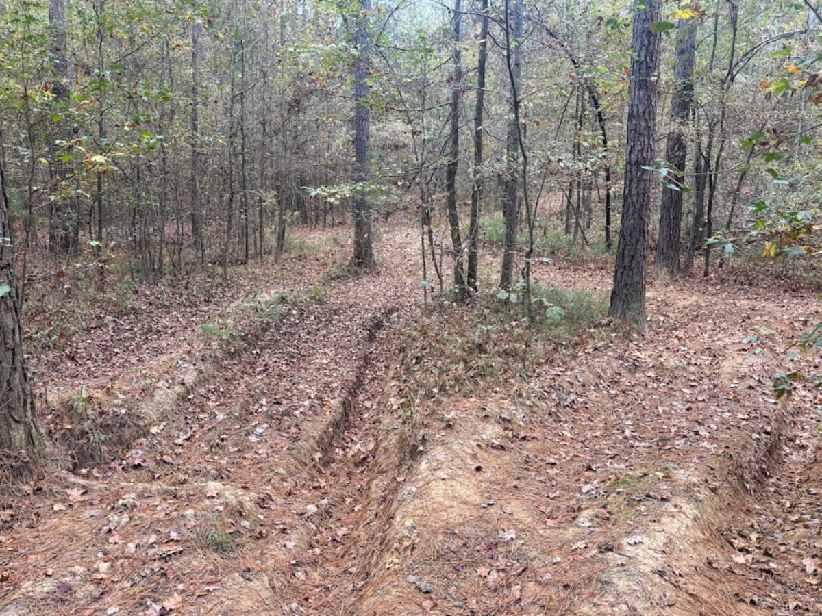 54 trail photo