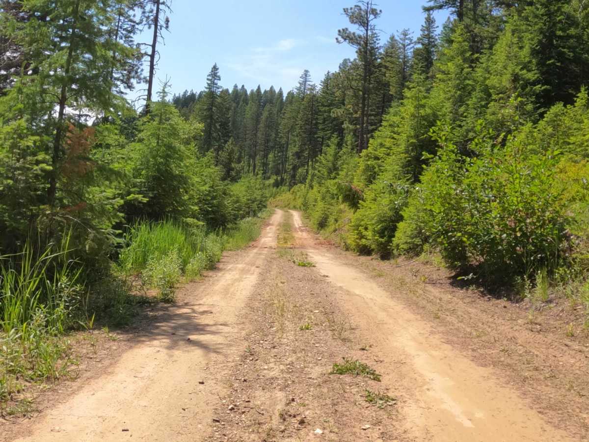 West Side Pardee Creek Road - Old Hwy 10 photo 5