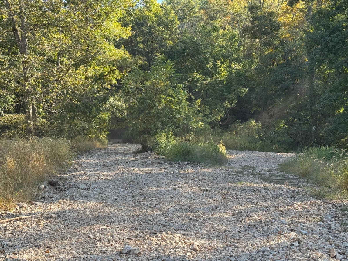 Green 3 photo 5