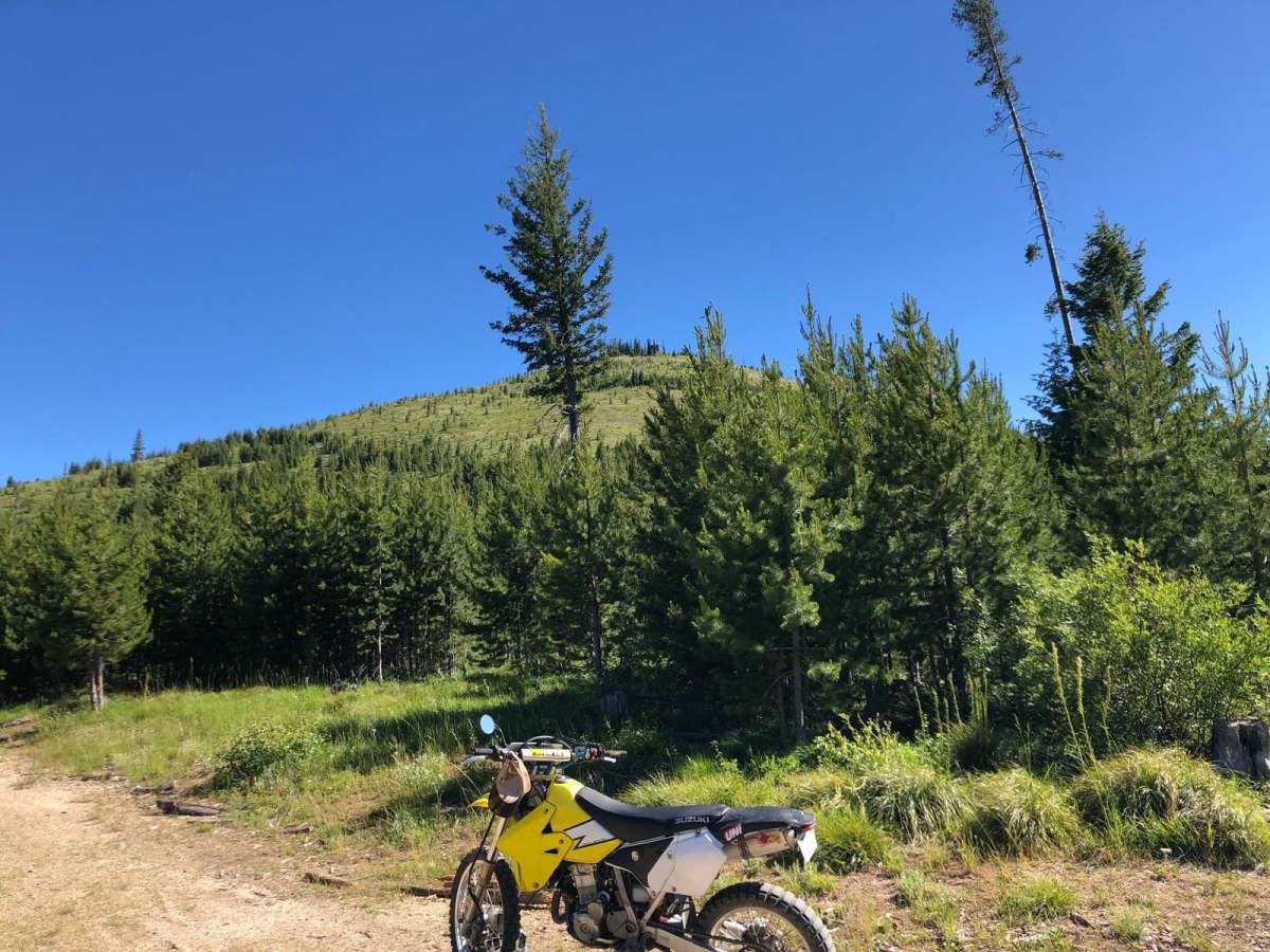 Deer Mountain photo 2
