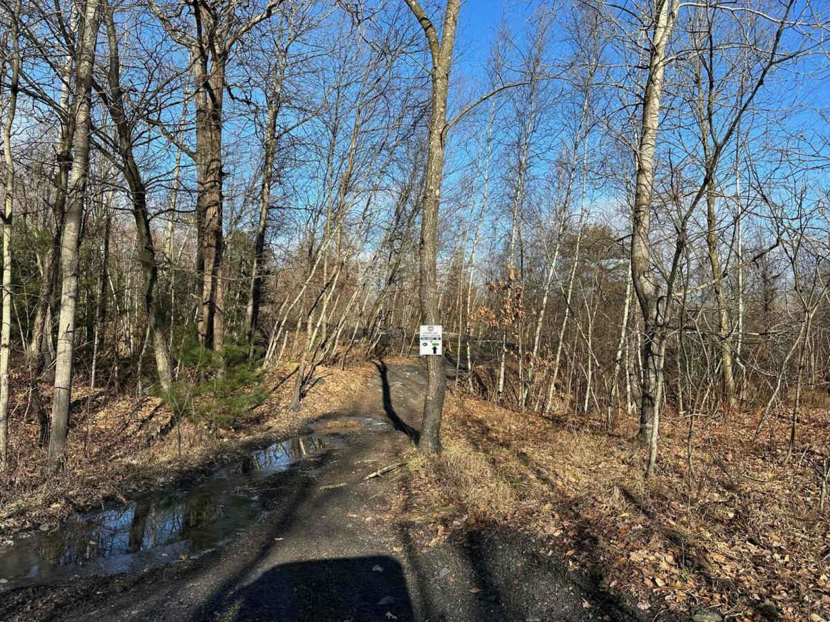 Locust Gap 19 photo 5