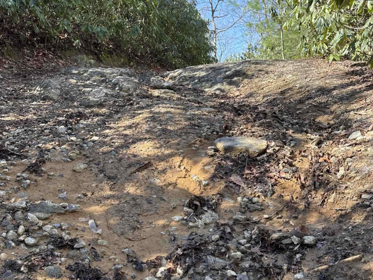 Darnell Creek - FR 150 trail photo