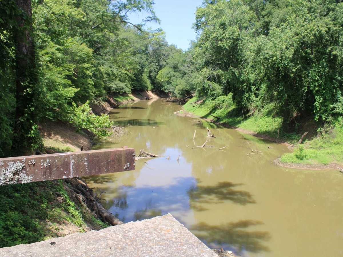 Petit Jean River Wildlife Mgmt Area photo 6