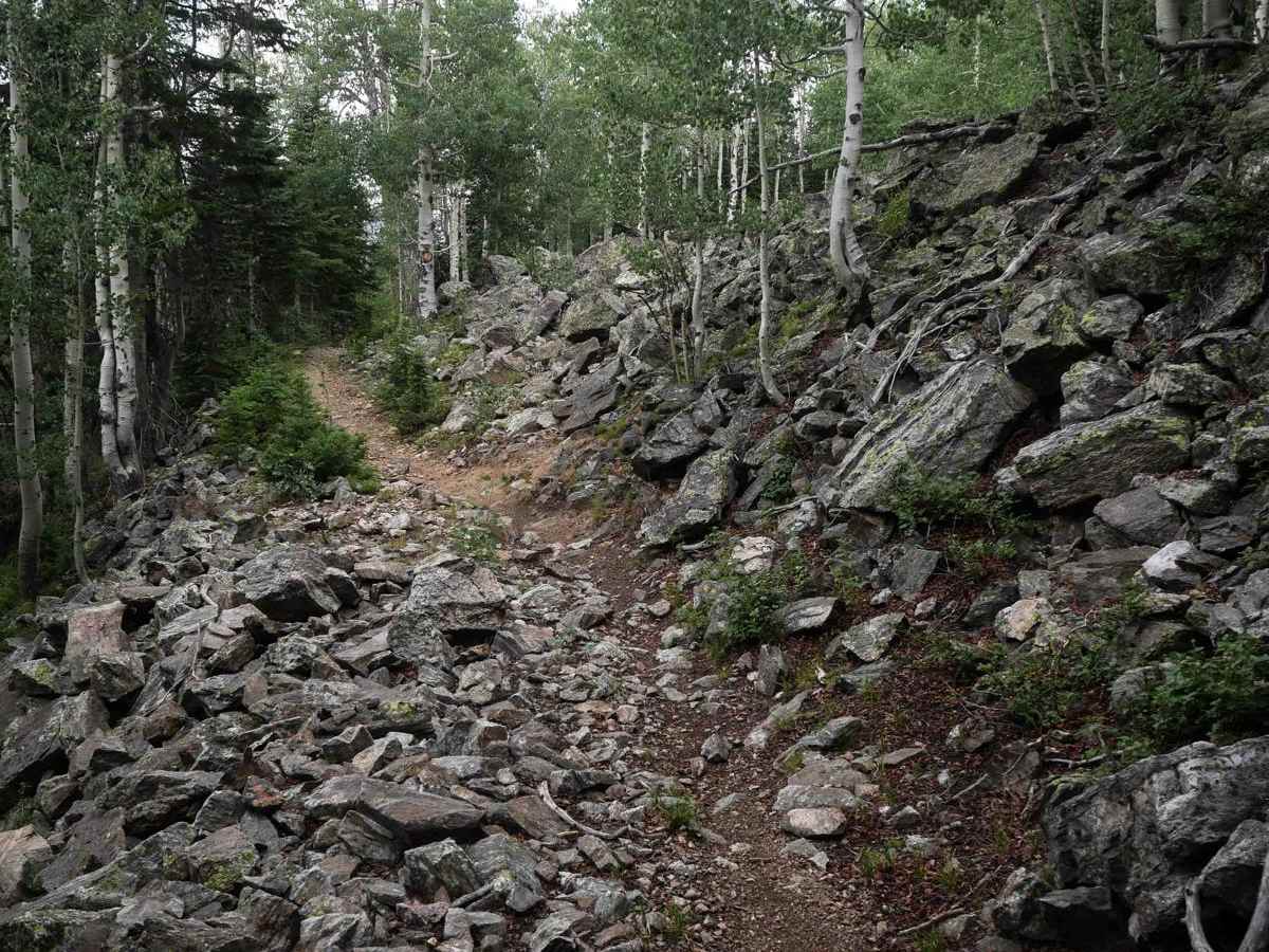 Jack Park Trail photo 4