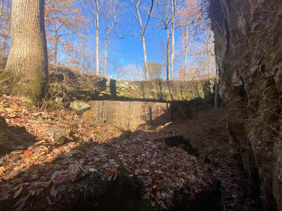Natural Bridge Road photo 6