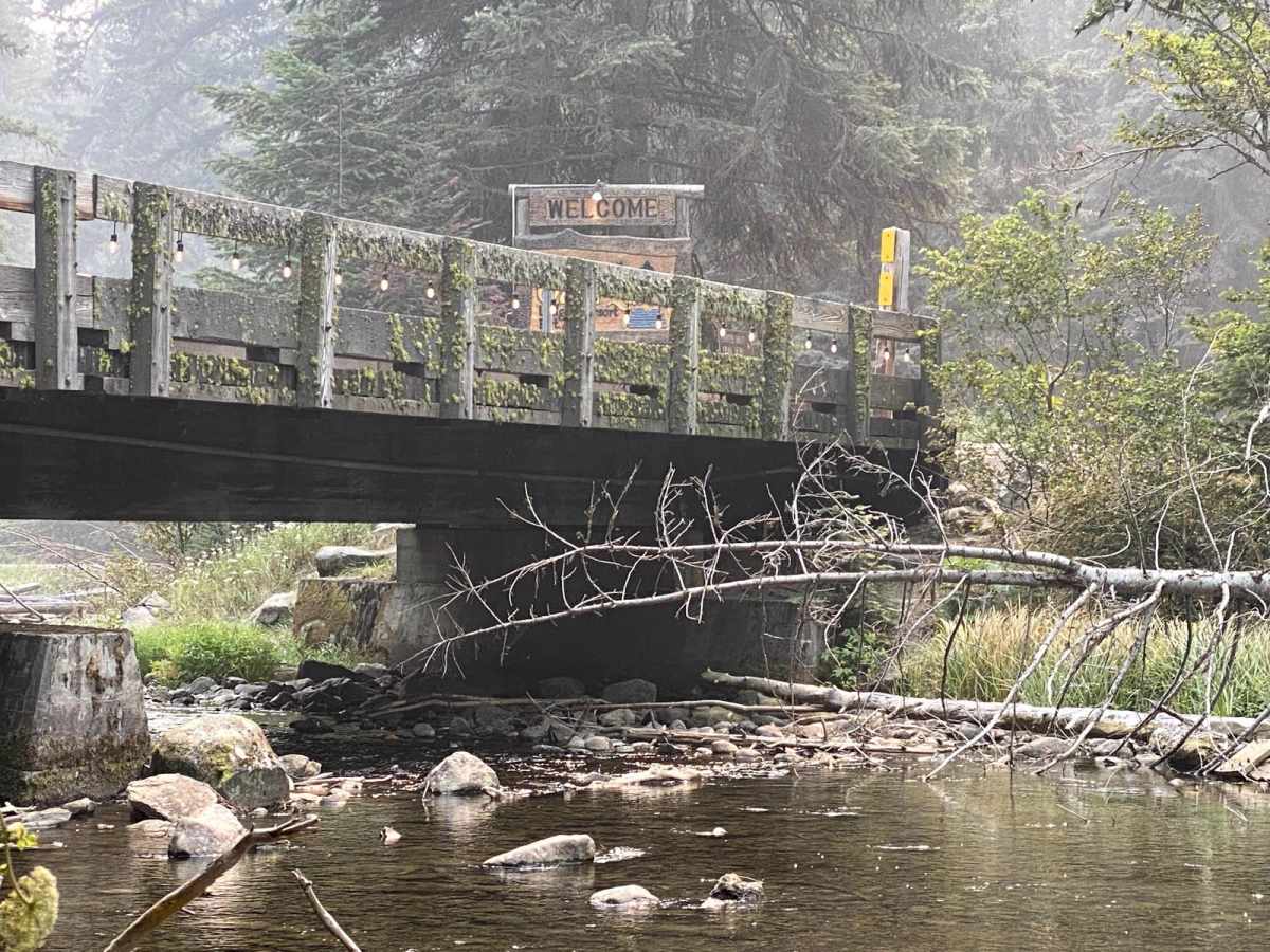 Crescent Lake Trail photo 3