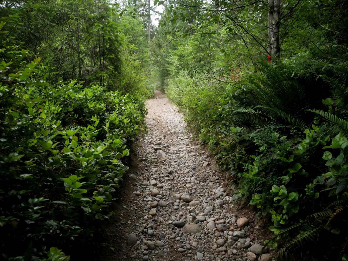 Connector trail photo
