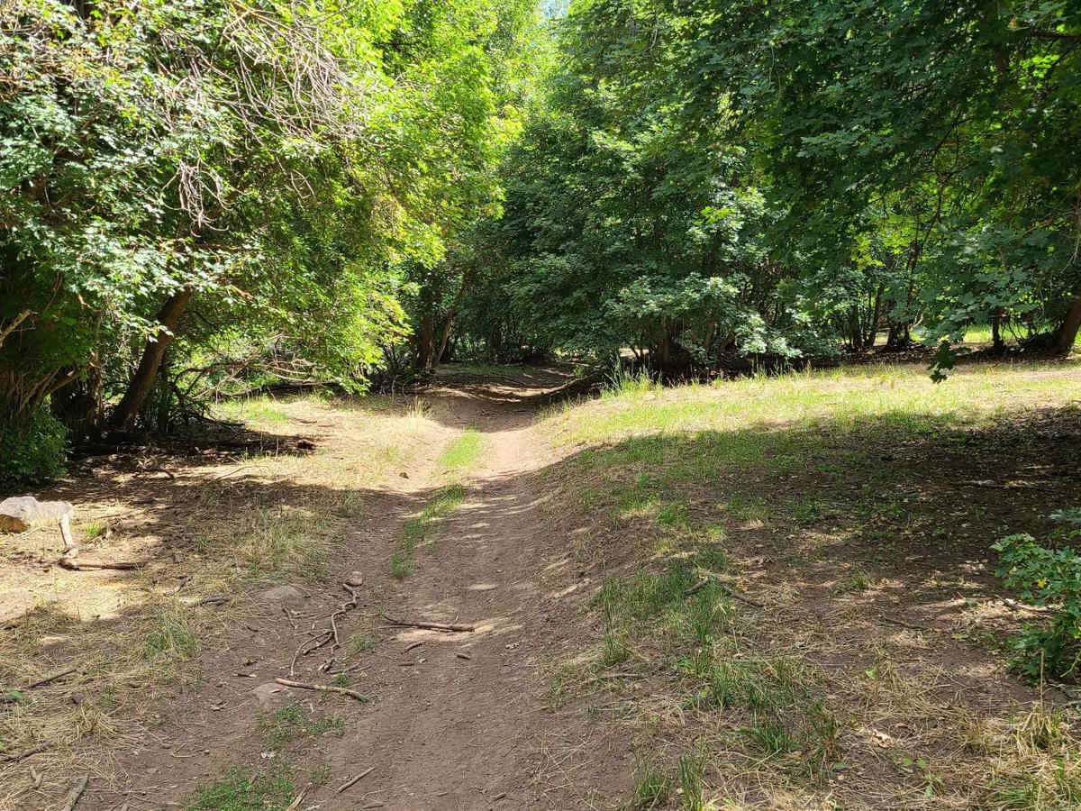 Sugar Creek photo 2