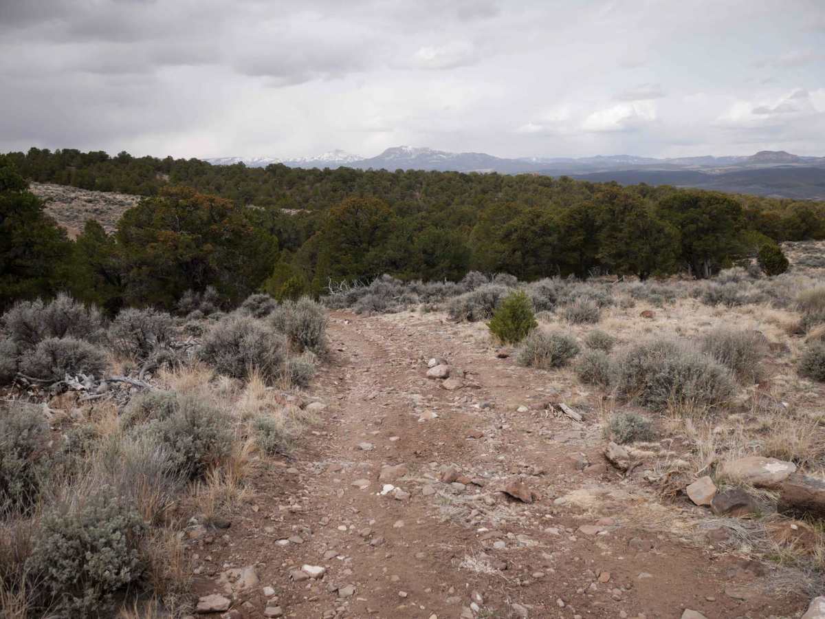 Bull Rush ATV Trail photo 6