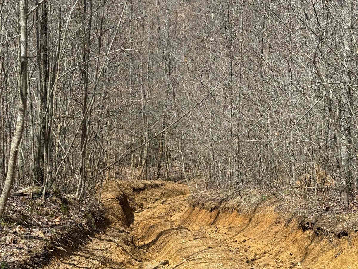 Trail 6 photo 2