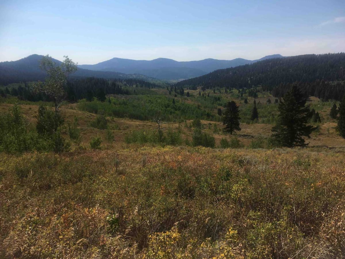 Pete Creek Trail trail photo