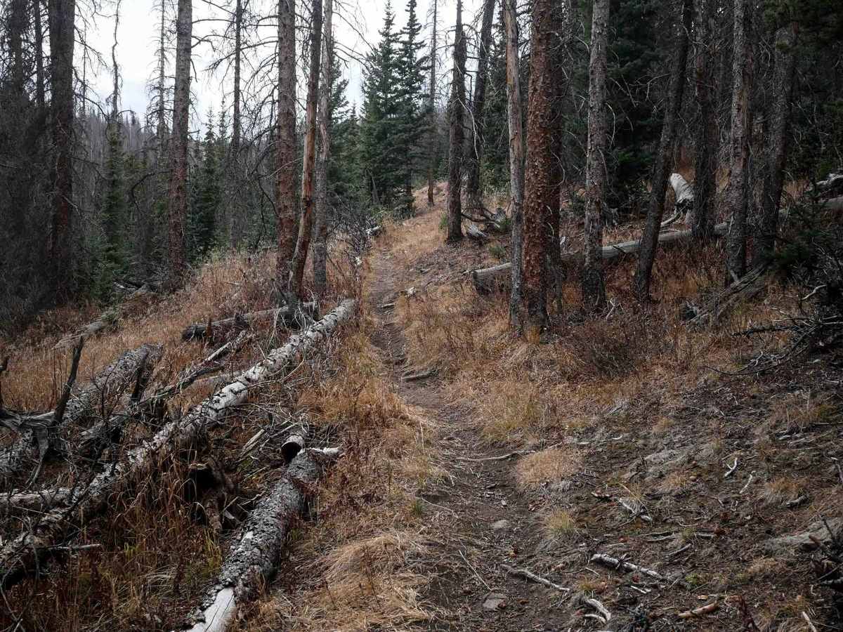 Bowers Peak photo 6