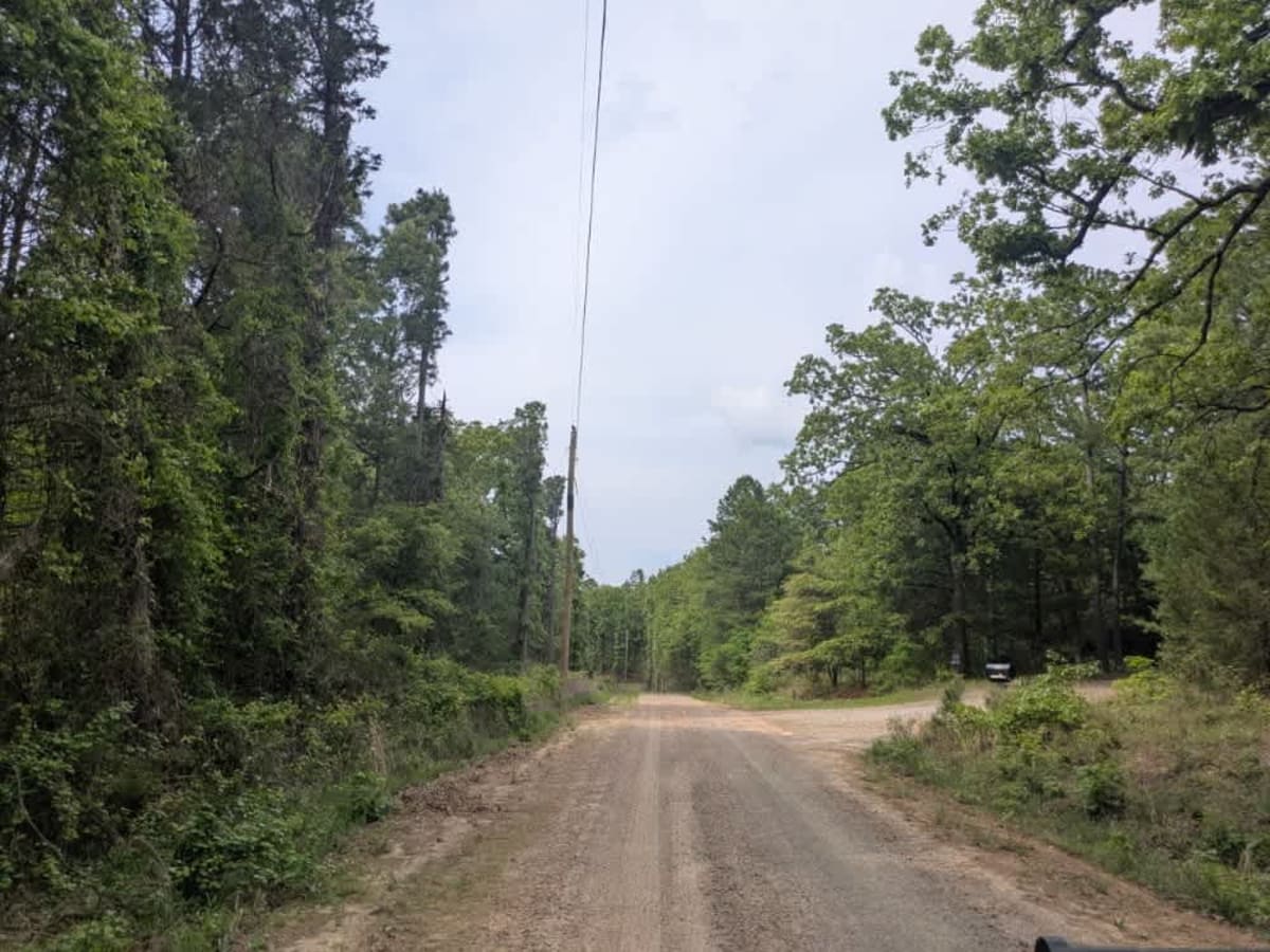 Wicked Creek photo 5