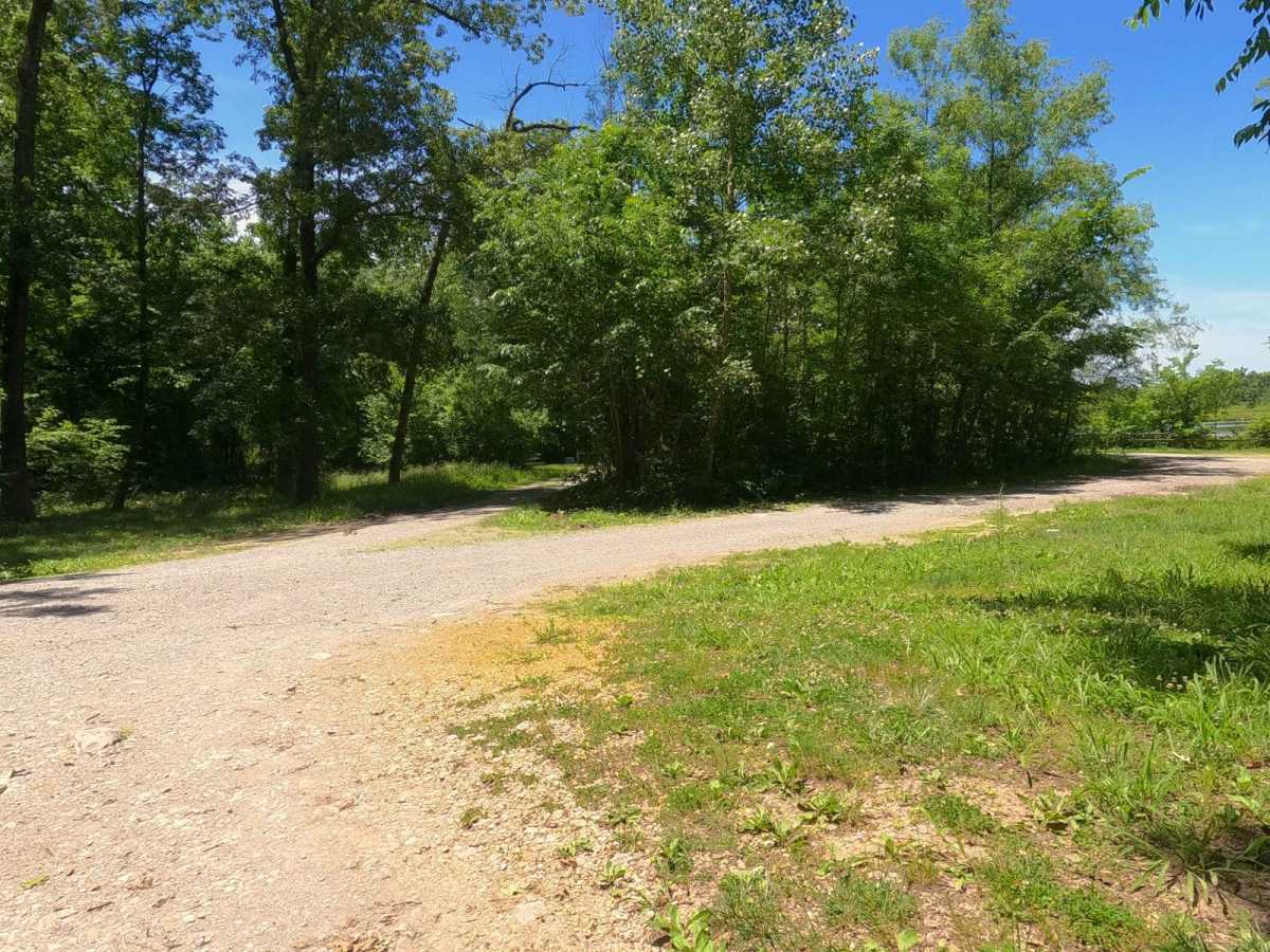 Snake Road - FS 345 photo 2