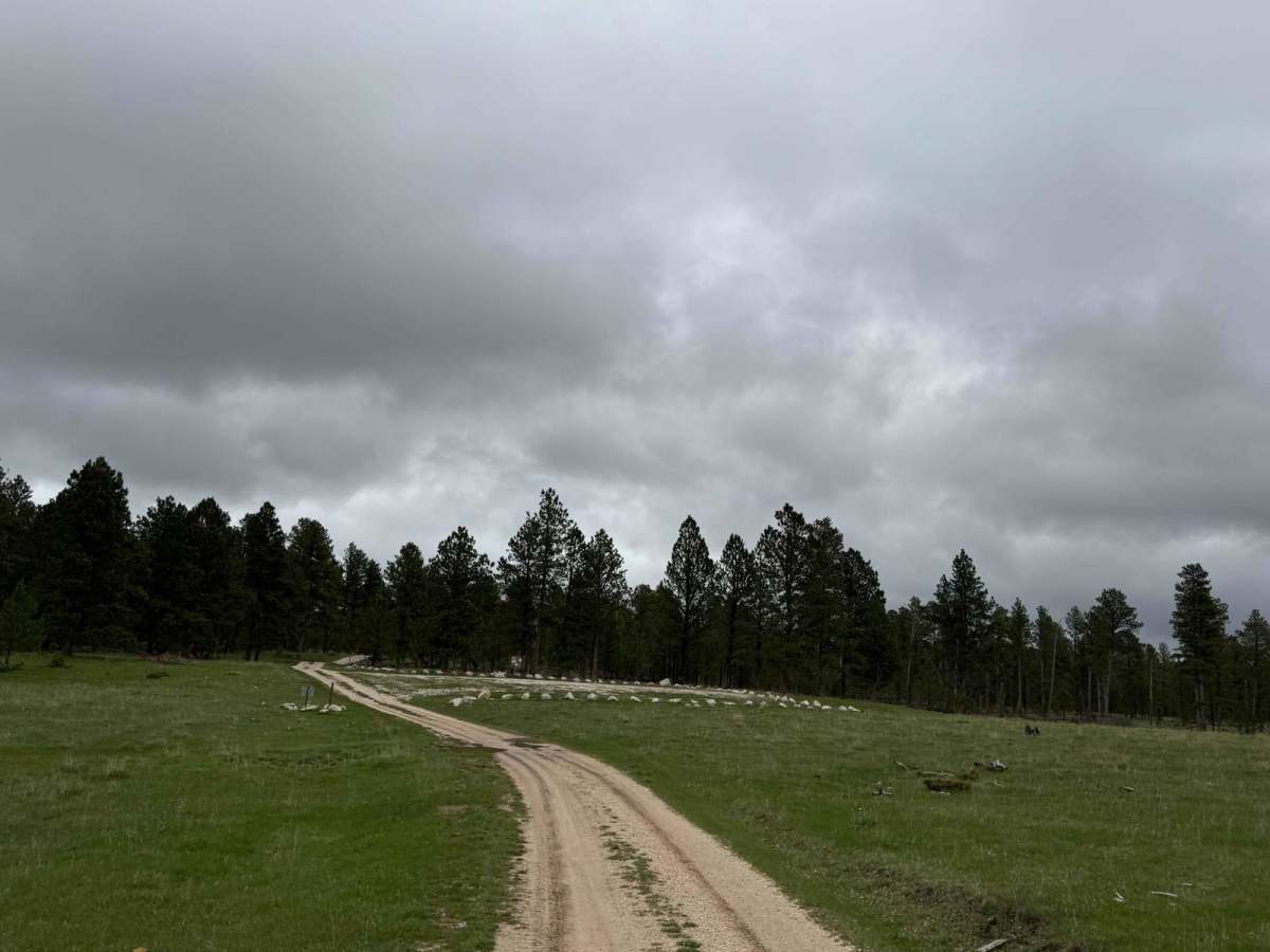 Bear Run photo 4