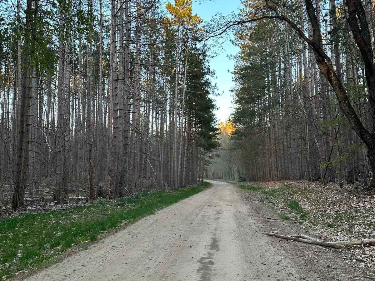 Cadillac Area ORV/OHV Scenic Ride - 7520 trail photo